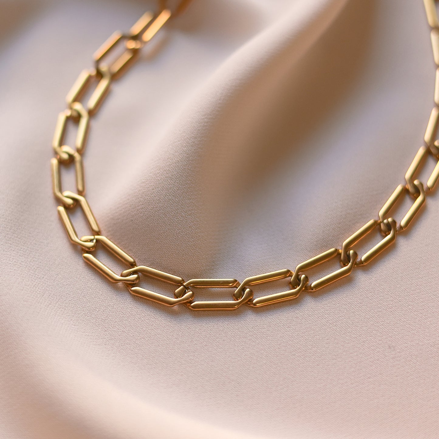 Dania Chain